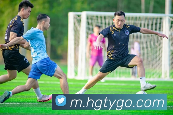 皇冠体育平台生态图